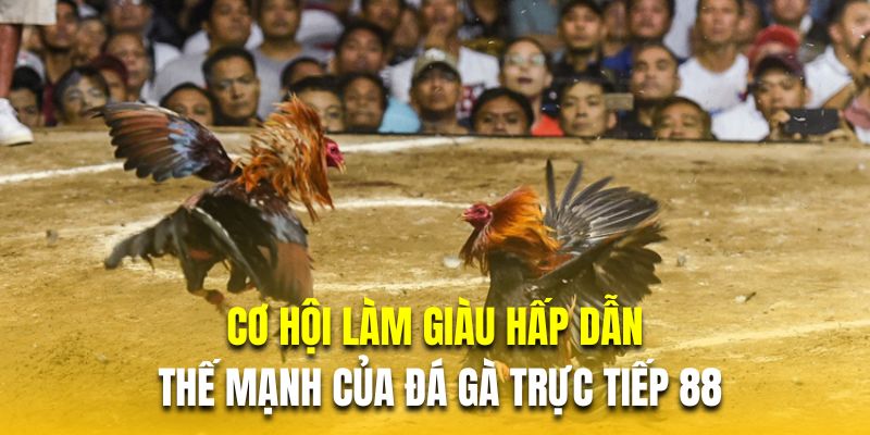Cơ hội làm giàu hấp dẫn là thế mạnh của đá gà trực tiếp 88